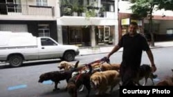 Entre las opciones privadas hay hoteles de mascotas donde los animales son bien alimentados y sacados a pasear.