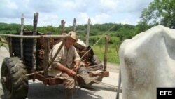 Campesino cubano.