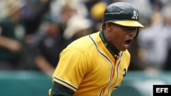 El jugador de los Atléticos de Oakland Yoenis Céspedes. 