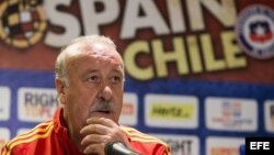 El entrenador de la selección española de fútbol, Vicente del Bosque.